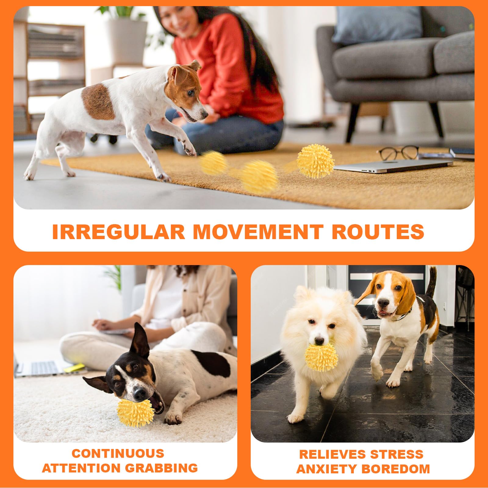 BABORUI mode intelligent et mode normal offrent des options selon l’énergie du chien.