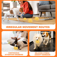 BABORUI mode intelligent et mode normal offrent des options selon l’énergie du chien.