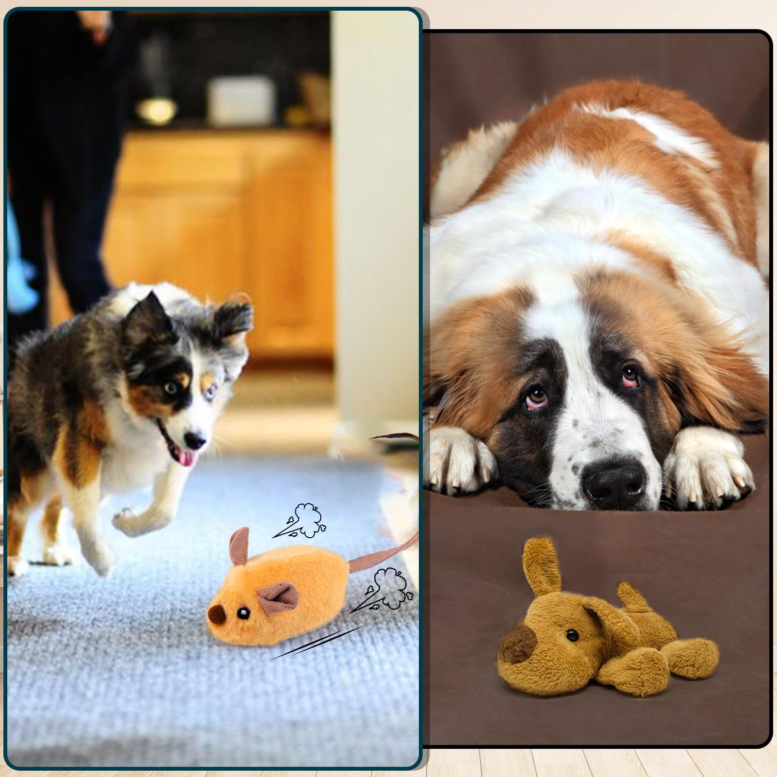 BABORUI Jouet crissant pour chien et chat.