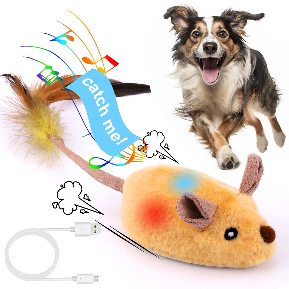 BABORUI Souris interactive lumineuse avec rotation automatique pour chien actif.