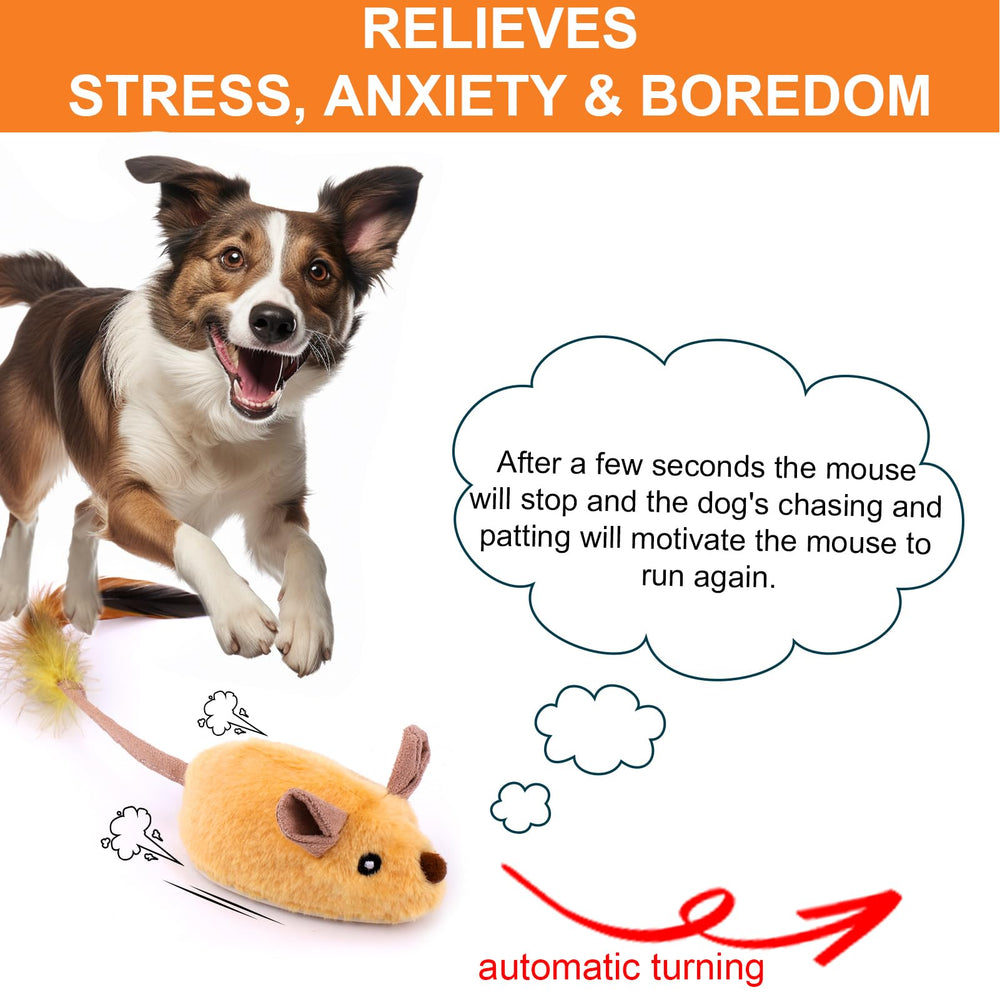 BABORUI Souris qui fuit attire l attention du chien.