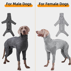 BabyFoxy combinaison récupération chiens gris foncé, fermeture arrière facile à enfiler.