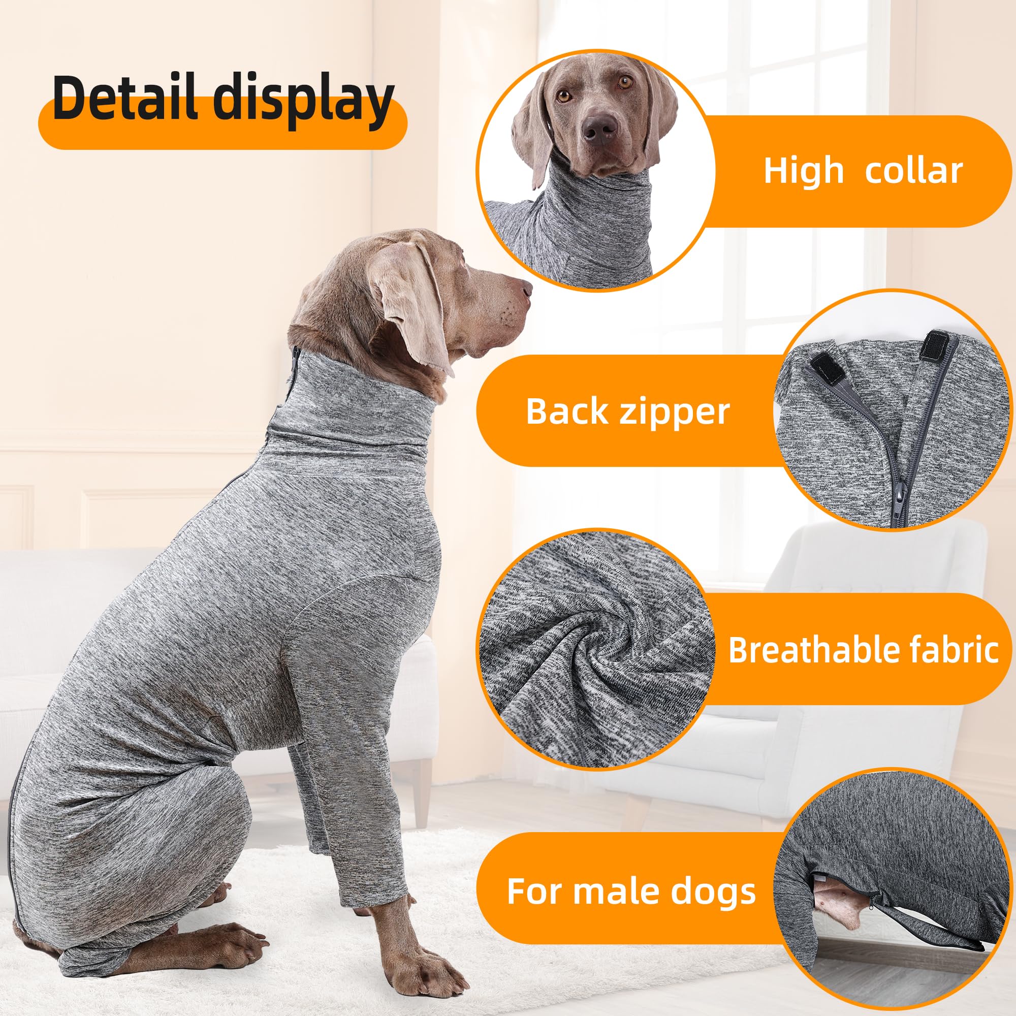 BabyFoxy ouverture ventre-queue, design adapté aux chiens mâles.