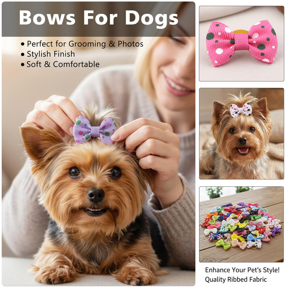 Babymatch noeud-chien-petit orange, parfait pour petites races et chiots.