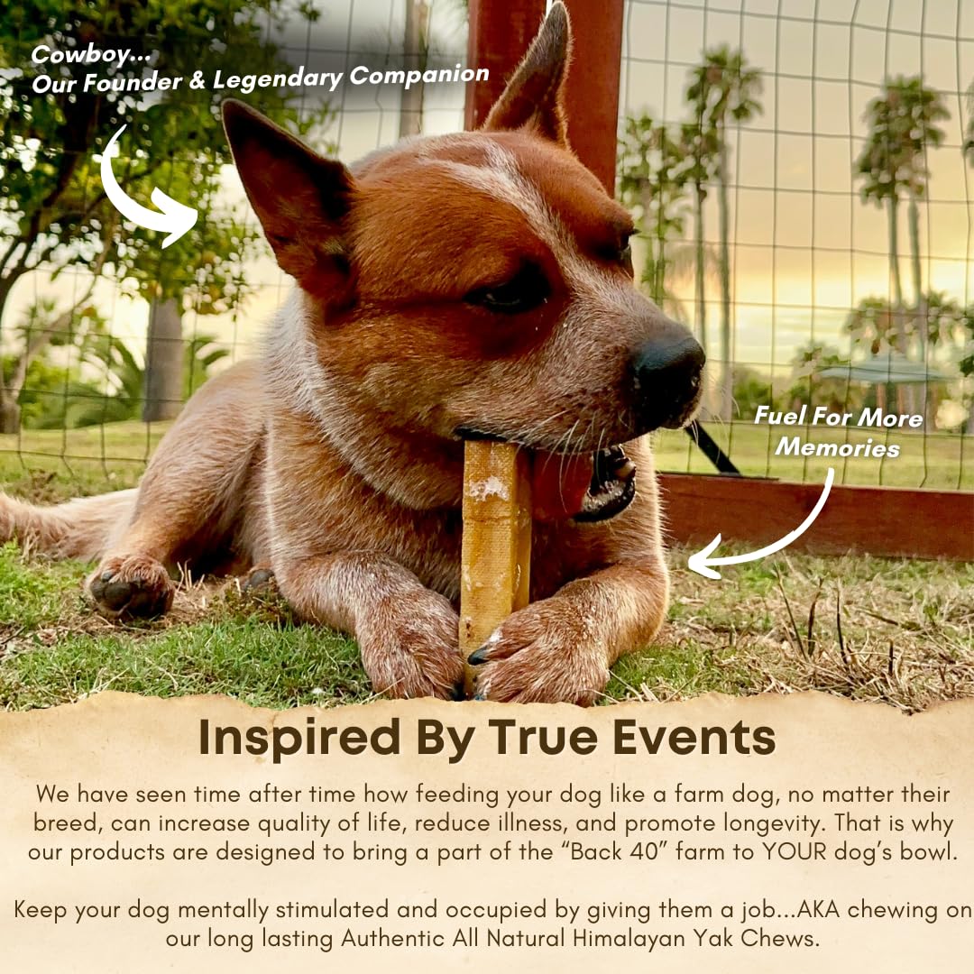 Back 40 Dogs - Fabriqué au Népal avec soin artisanal, alternative naturelle au cuir brut.