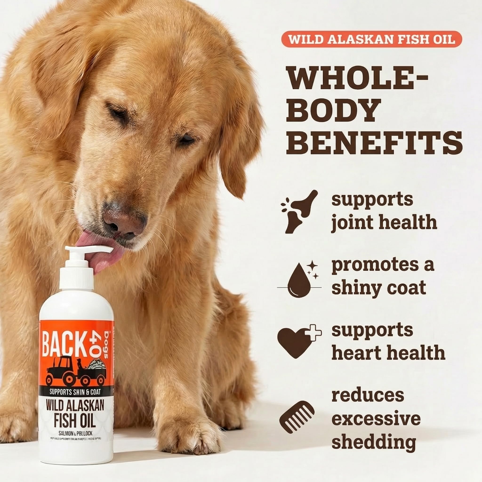 Back 40 Dogs gouttes huile poisson — dose facile à verser sur le repas.