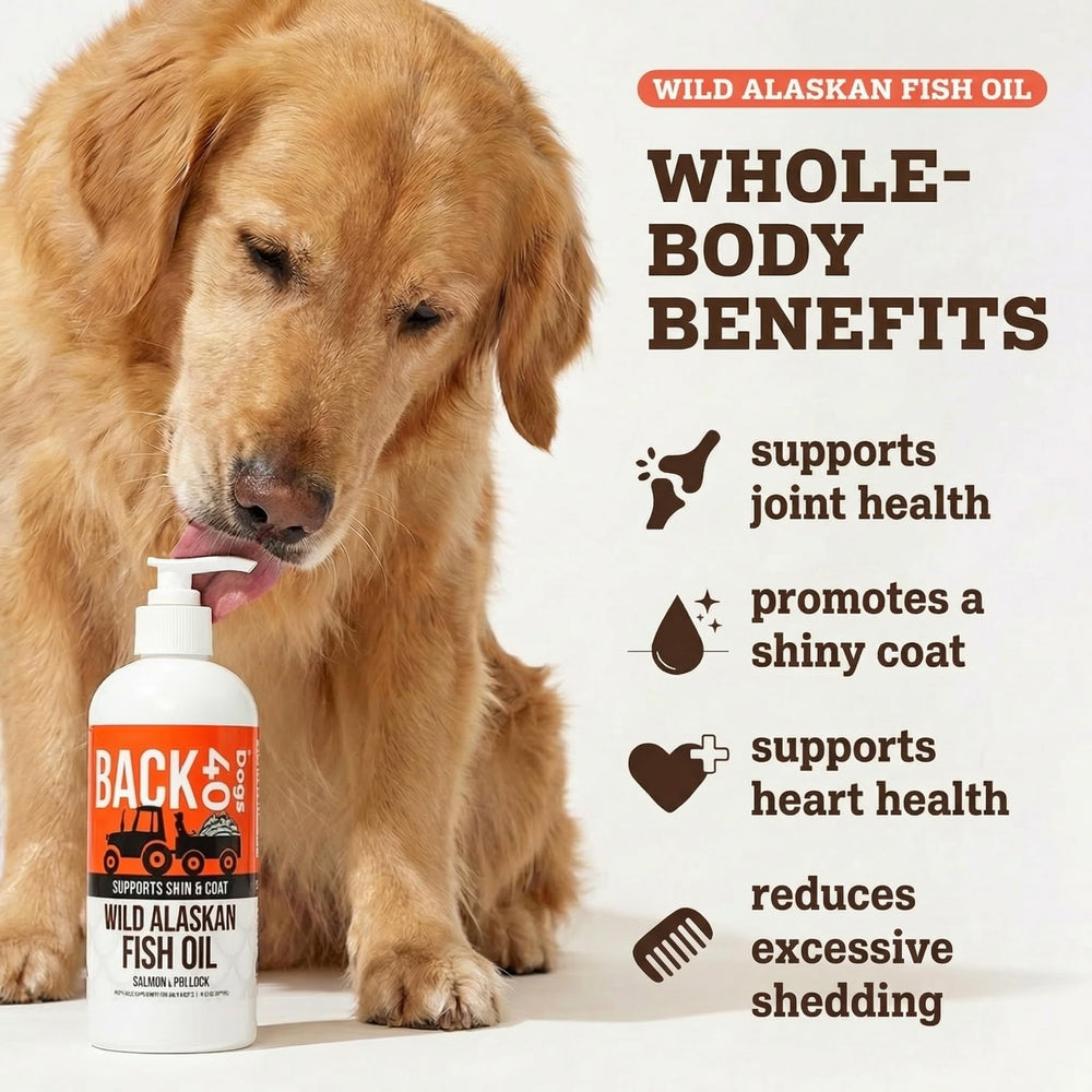 Back 40 Dogs gouttes huile poisson — dose facile à verser sur le repas.