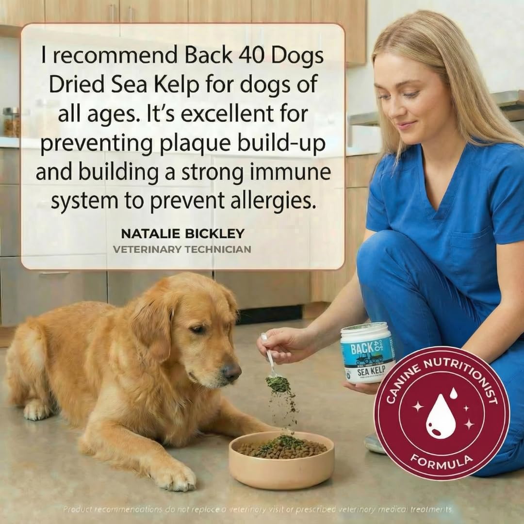 Back 40 Dogs — Poudre d’algue organique, salut pour l’apport nutritionnel quotidien.