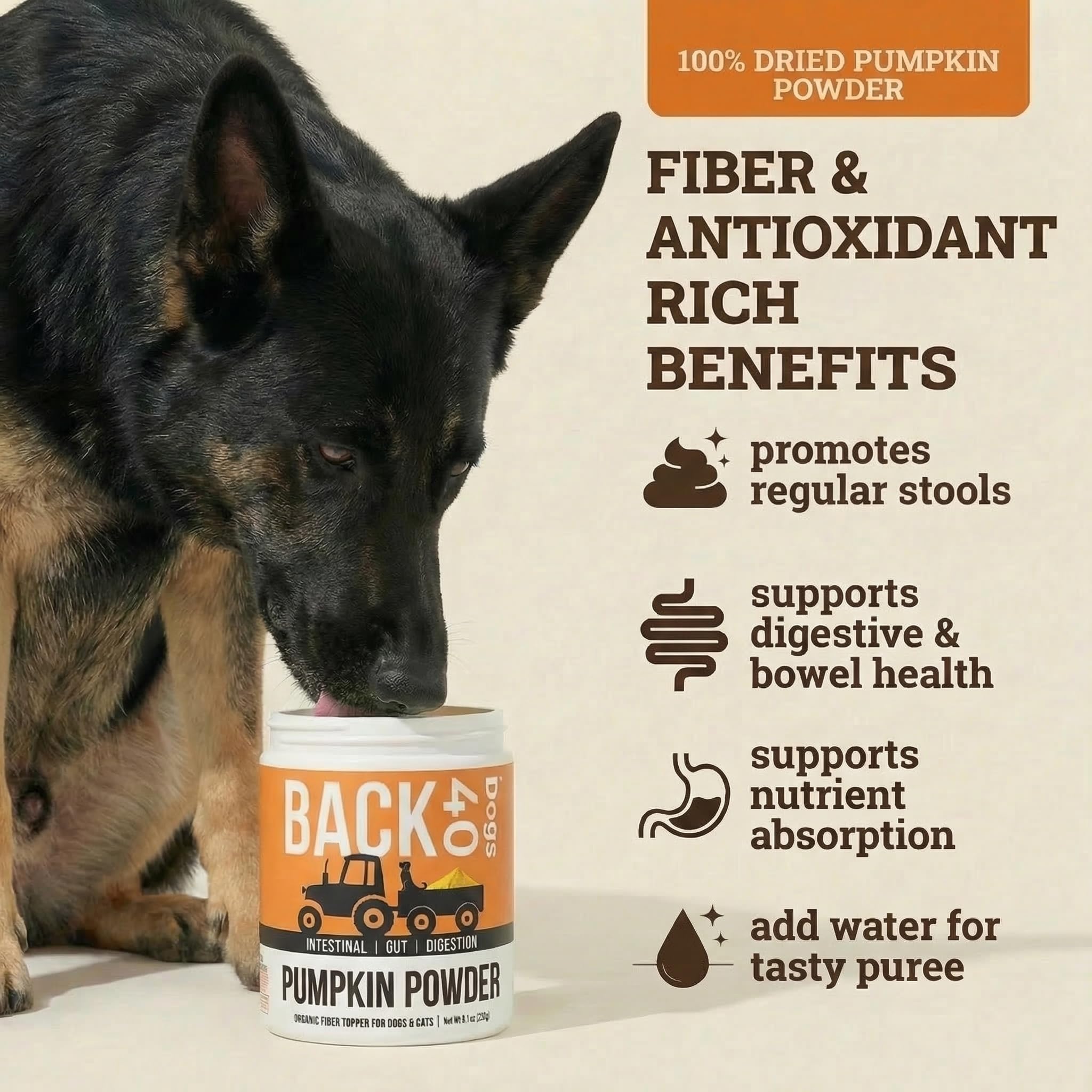 Back 40 Dogs Poudre Citrouille, cuillère-dose pratique pour ajouter au repas.