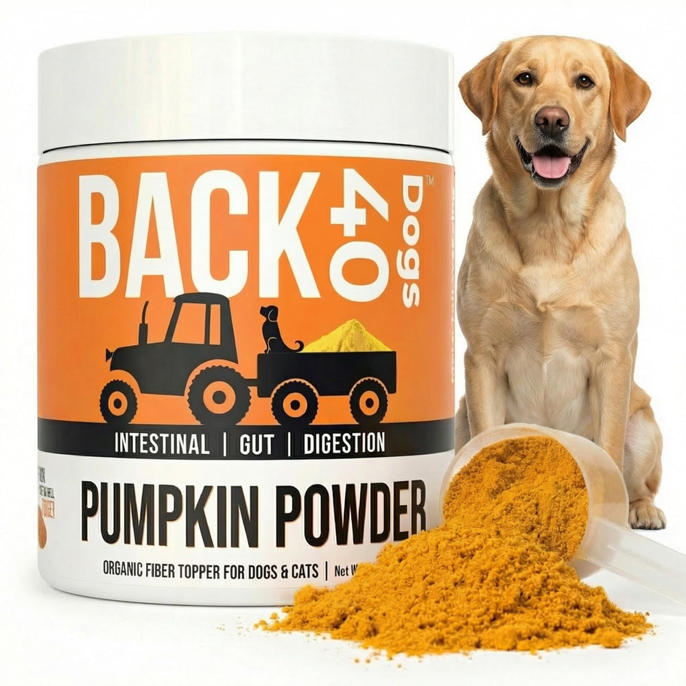 Back 40 Dogs Poudre Citrouille, flacon: soutien à la digestion et fibres naturelles.