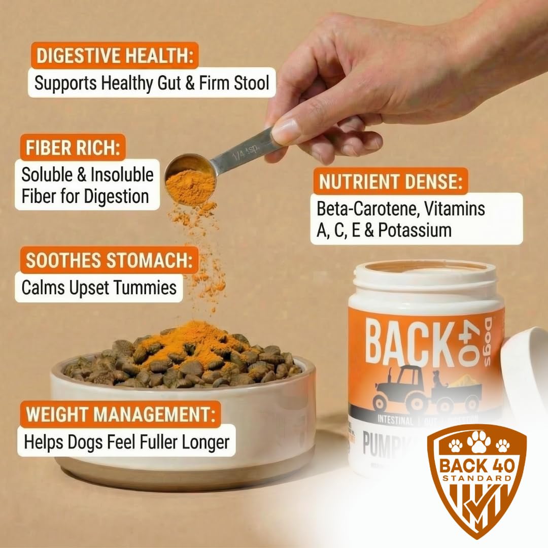 Back 40 Dogs Poudre Citrouille, servie directement sur la nourriture du chien.