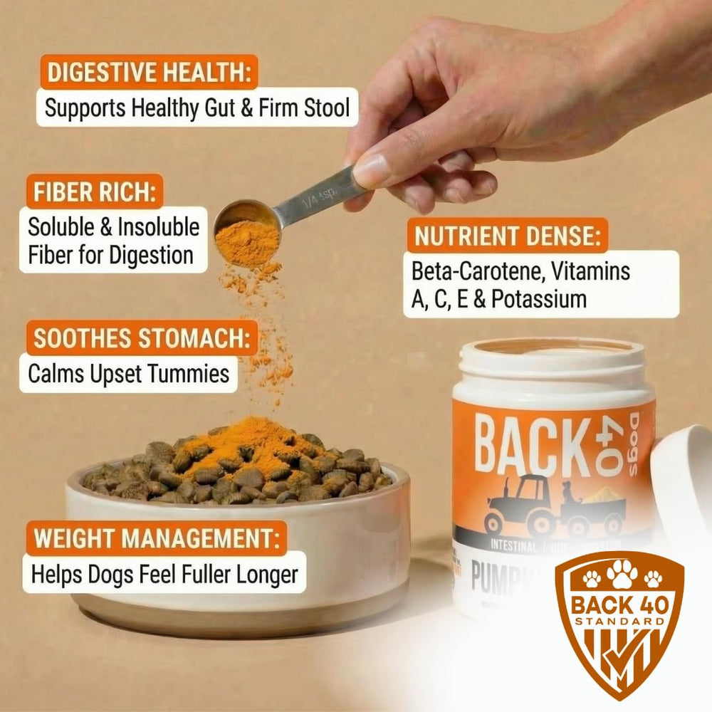 Back 40 Dogs Poudre Citrouille, servie directement sur la nourriture du chien.