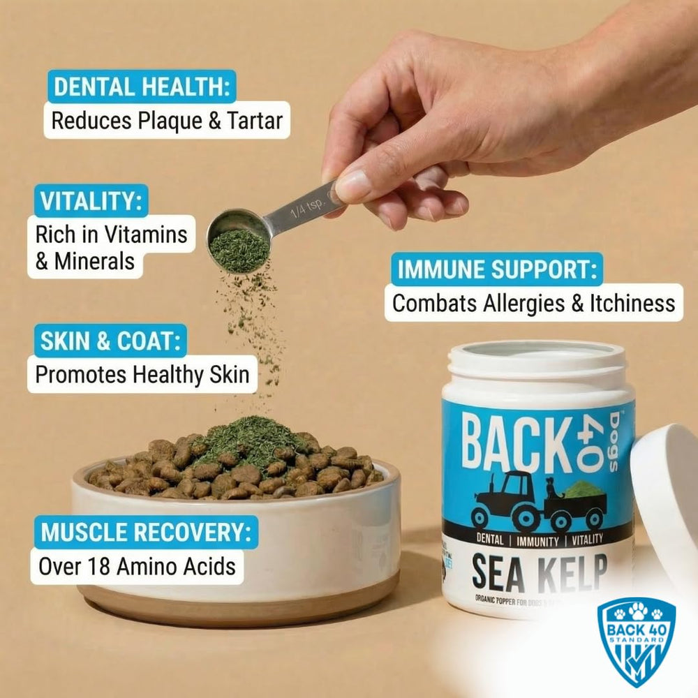 Back 40 Dogs — Poudre algue organique dans le sachet, idéale pour chiens actifs.