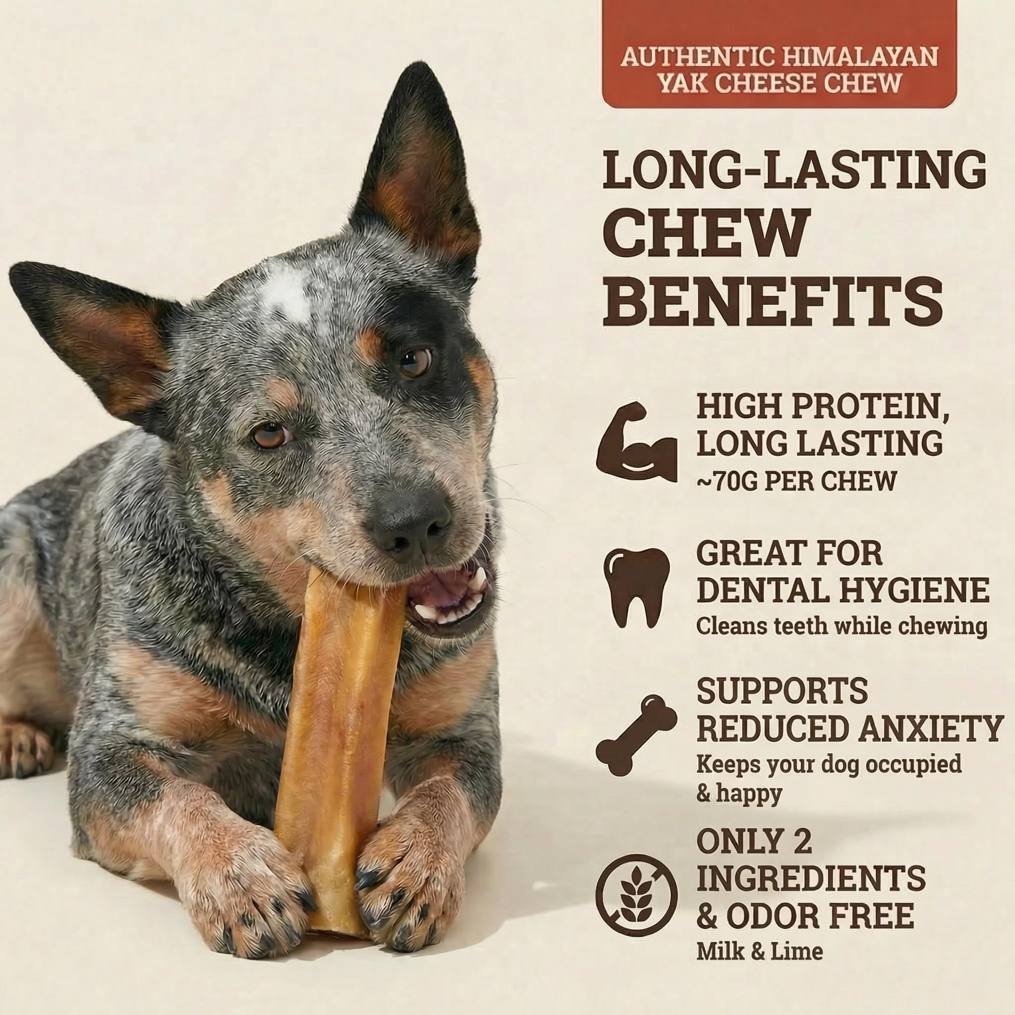 Back 40 Dogs texture friandise yak idéale pour mâcher durable