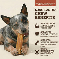 Back 40 Dogs texture friandise yak idéale pour mâcher durable