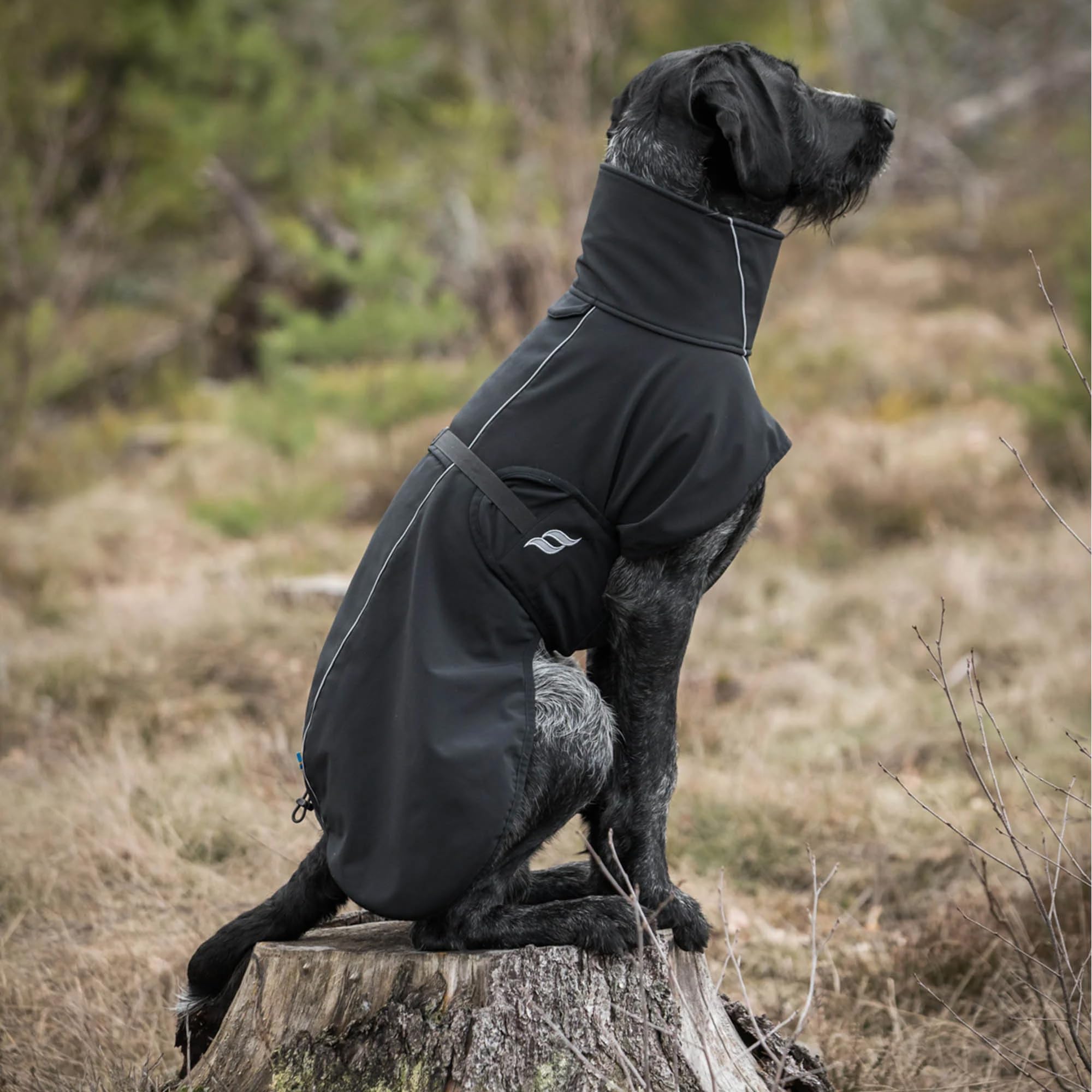 Back on Track Bark coat réflecteurs 360° pour la sécurité en soirée