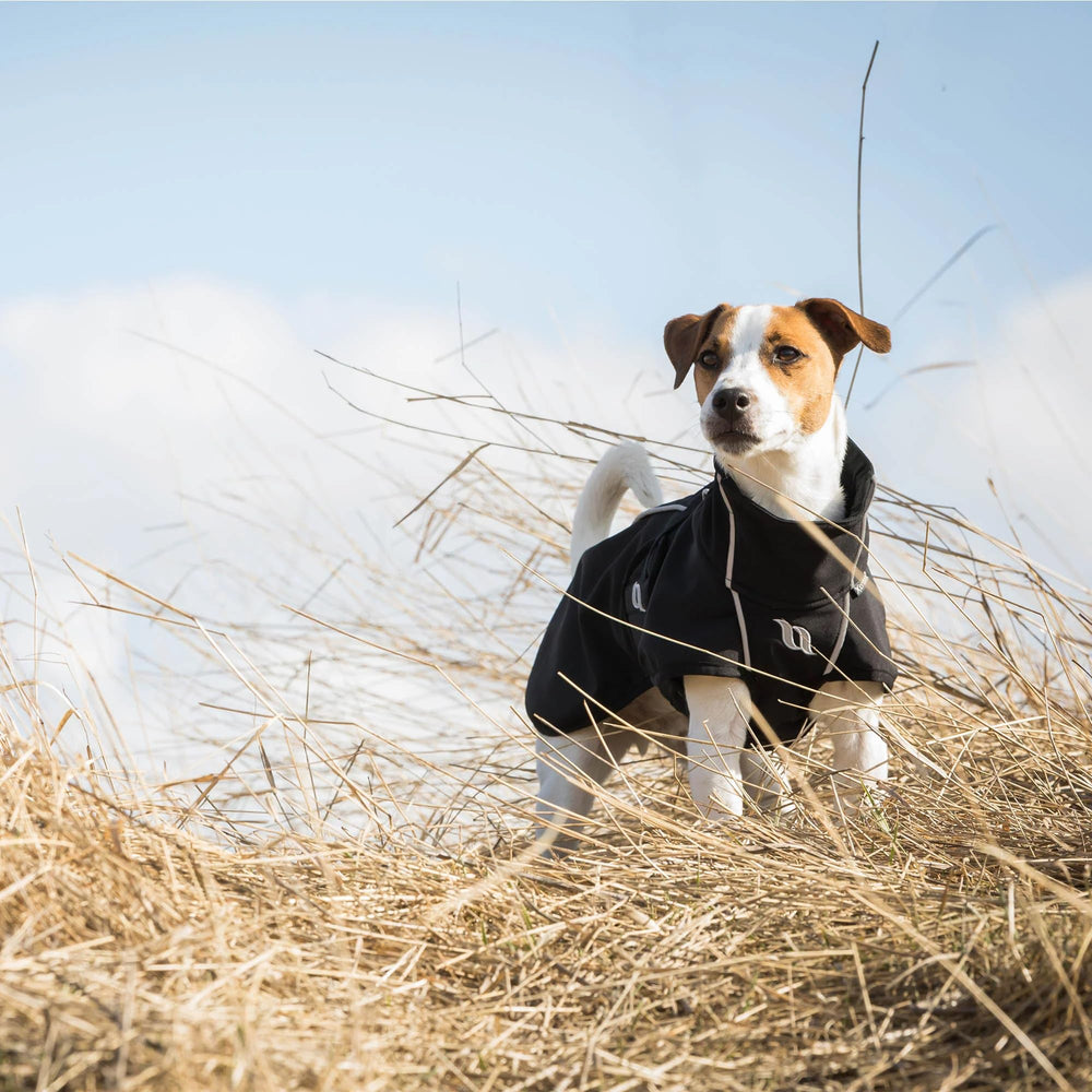 Back on Track Bark manteau avec ouvertures arrière pour harnais