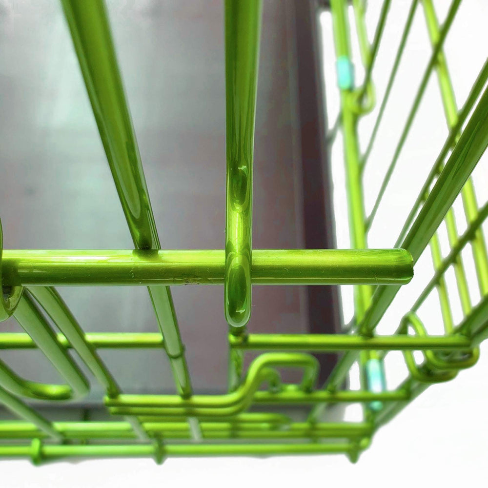 Structure en acier double revêtement poudre, cage chien BACKYARD EXPRESSIONS durable.