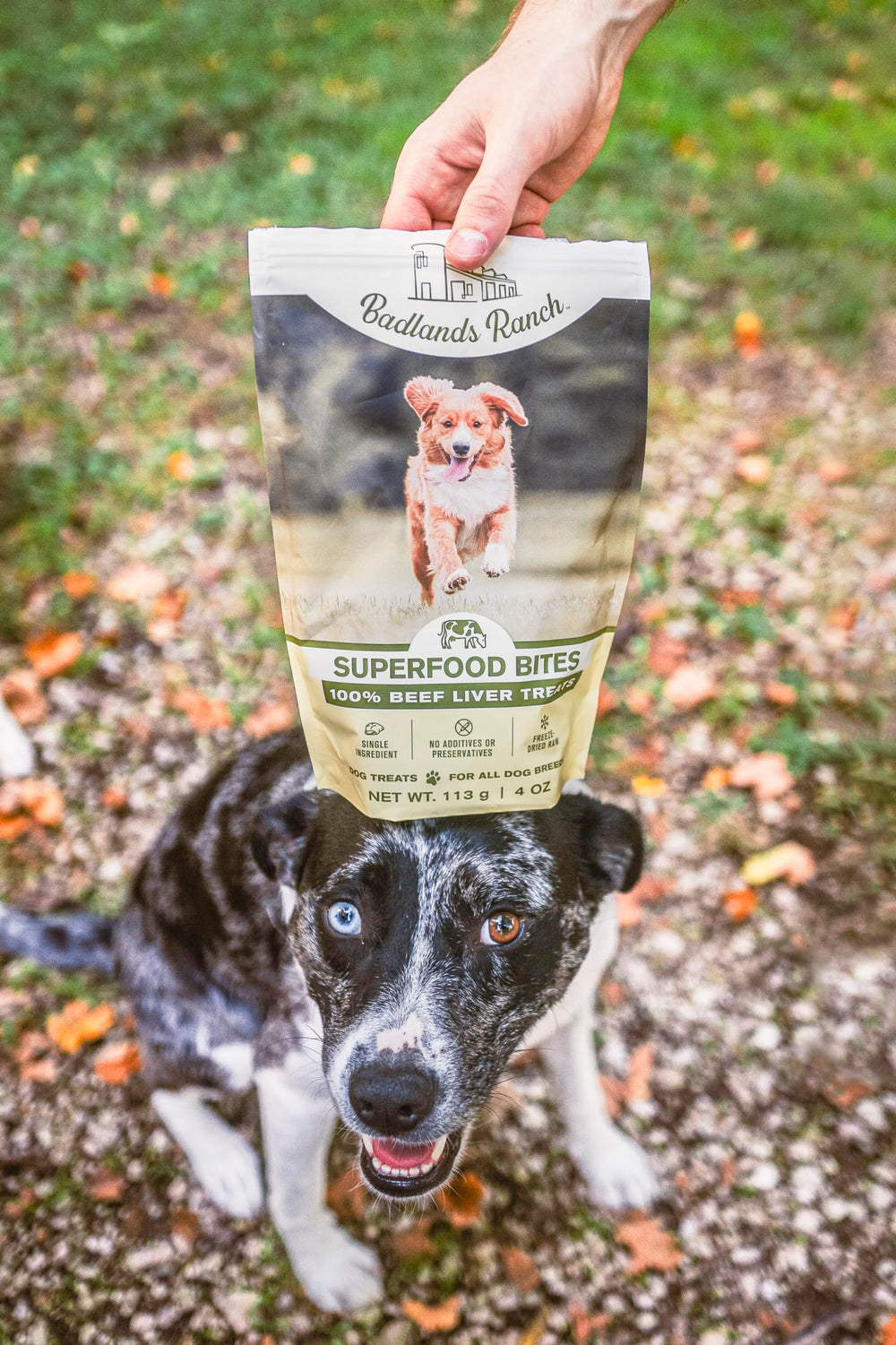 Friandise BADLANDS RANCH-digestibilité-optimisée, convient aux chiens sensibles.