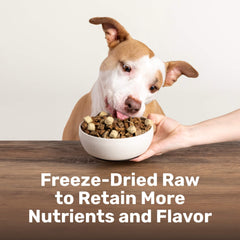BADLANDS RANCH Superfood Nuggets morceaux tripe boeuf visibles pour texture appétissante