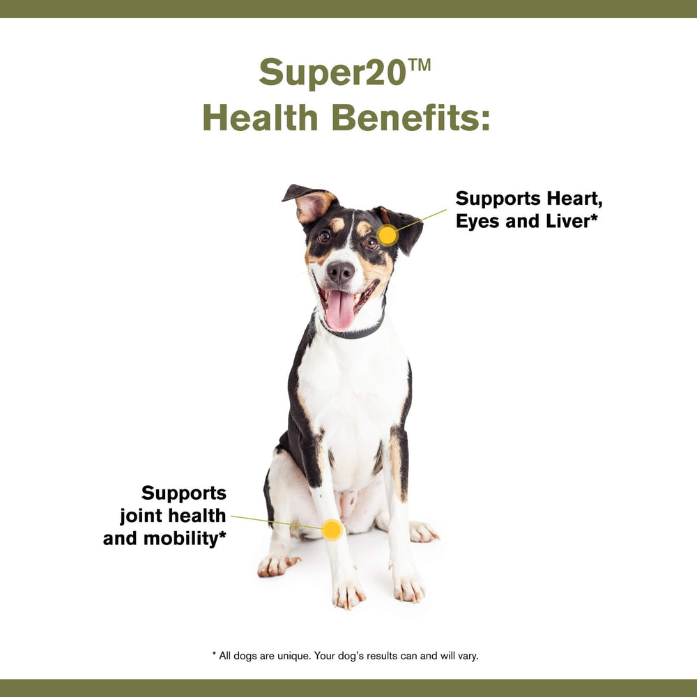Badlands Ranch Super20 – antioxydants: soutiennent les muscles et la vision