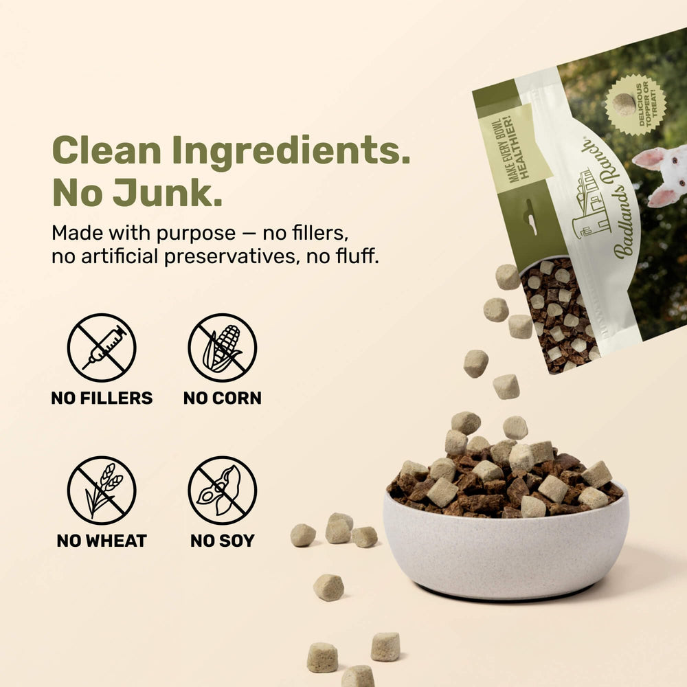 BADLANDS RANCH Superfood Nuggets – Kale, citrouille et cerise acide apportant antioxydants.