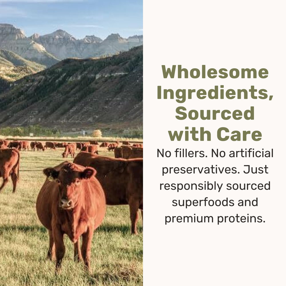 BADLANDS RANCH Superfood Nuggets – À saupoudrer sur croquettes pour booster l’appétit.