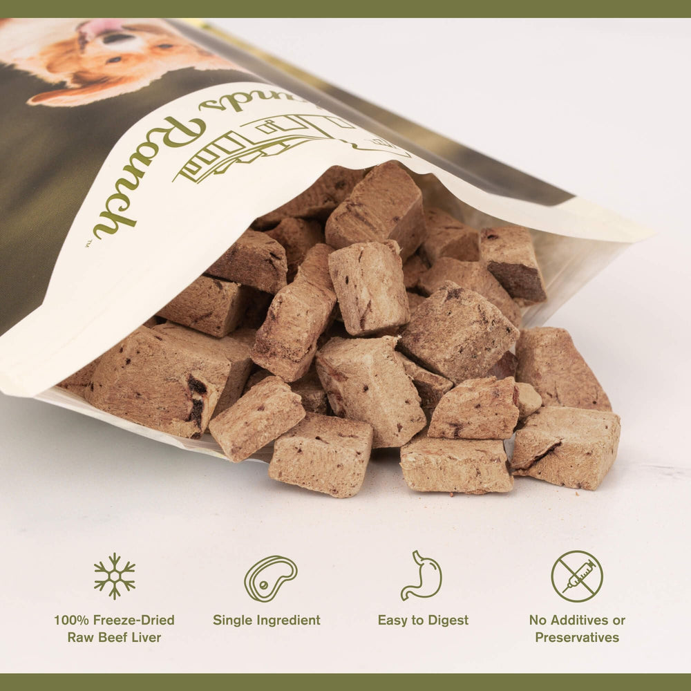 Friandise BADLANDS RANCH-usage-quotidien-chiens-actifs, utile pour une routine sportive.
