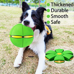 BADWALT disque lumineux pour chien, pratique en extérieur et intérieur