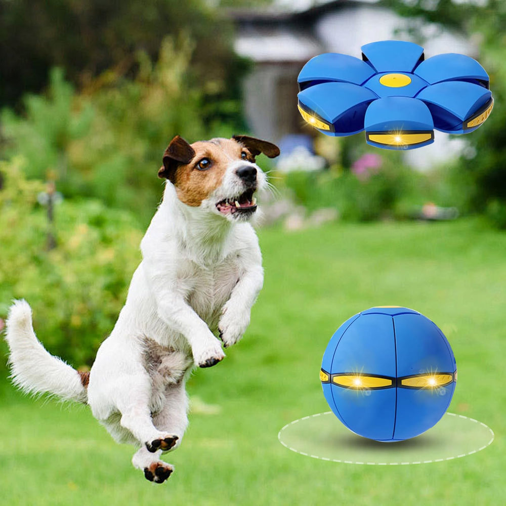 BADWALT jouet interactif pour chien, stimule l’exercice actif.