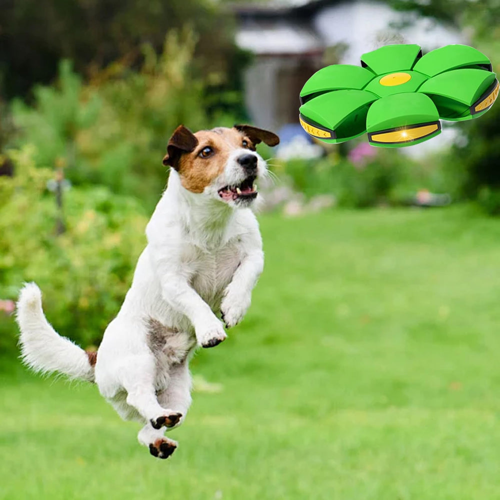 BADWALT jouet interactif plein air lumineux pour enfants et animaux