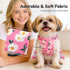 BAEJMJK laisse-harnais-daisy-rose-petit-chien, sécurité renforcée en promenade