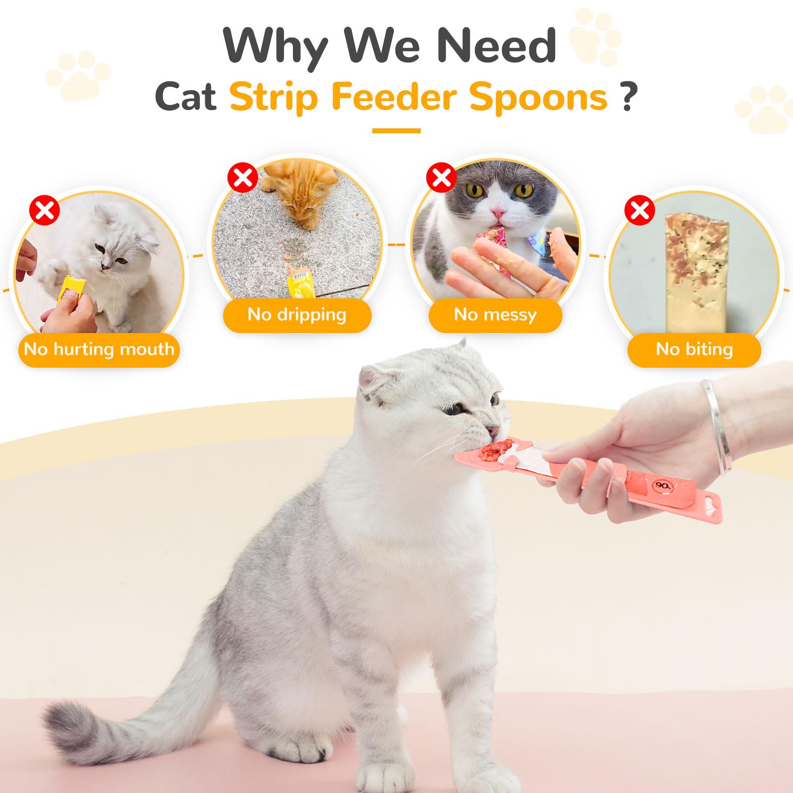 BAEJMJK pratique au quotidien et en voyage avec votre chat.