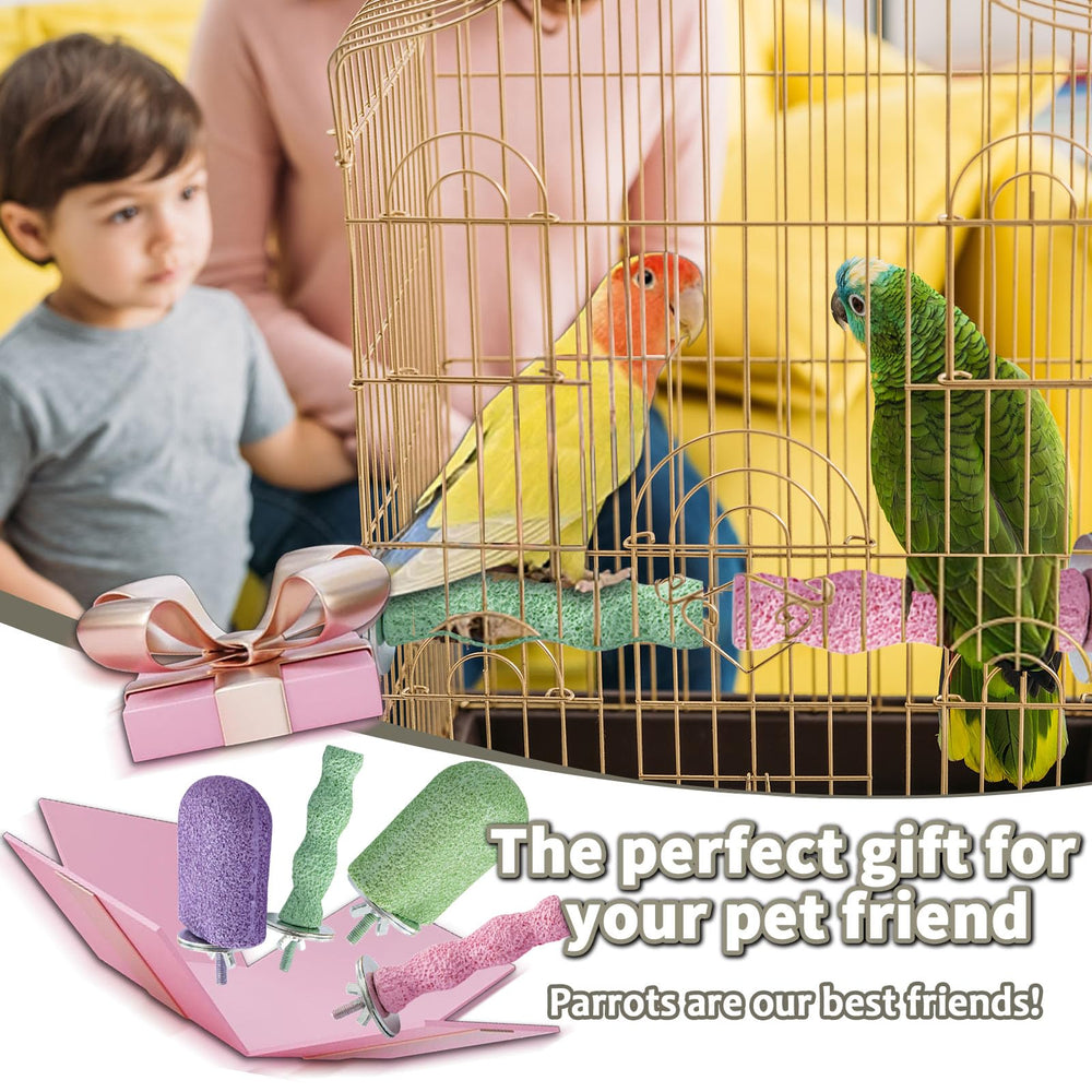 Baeruuss accessoires-cage-varietes: accessoire polyvalent pour plusieurs espèces d’oiseaux.