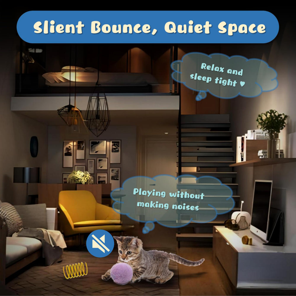 Set interactif BaiKevin pour jeux et exercice intérieur.