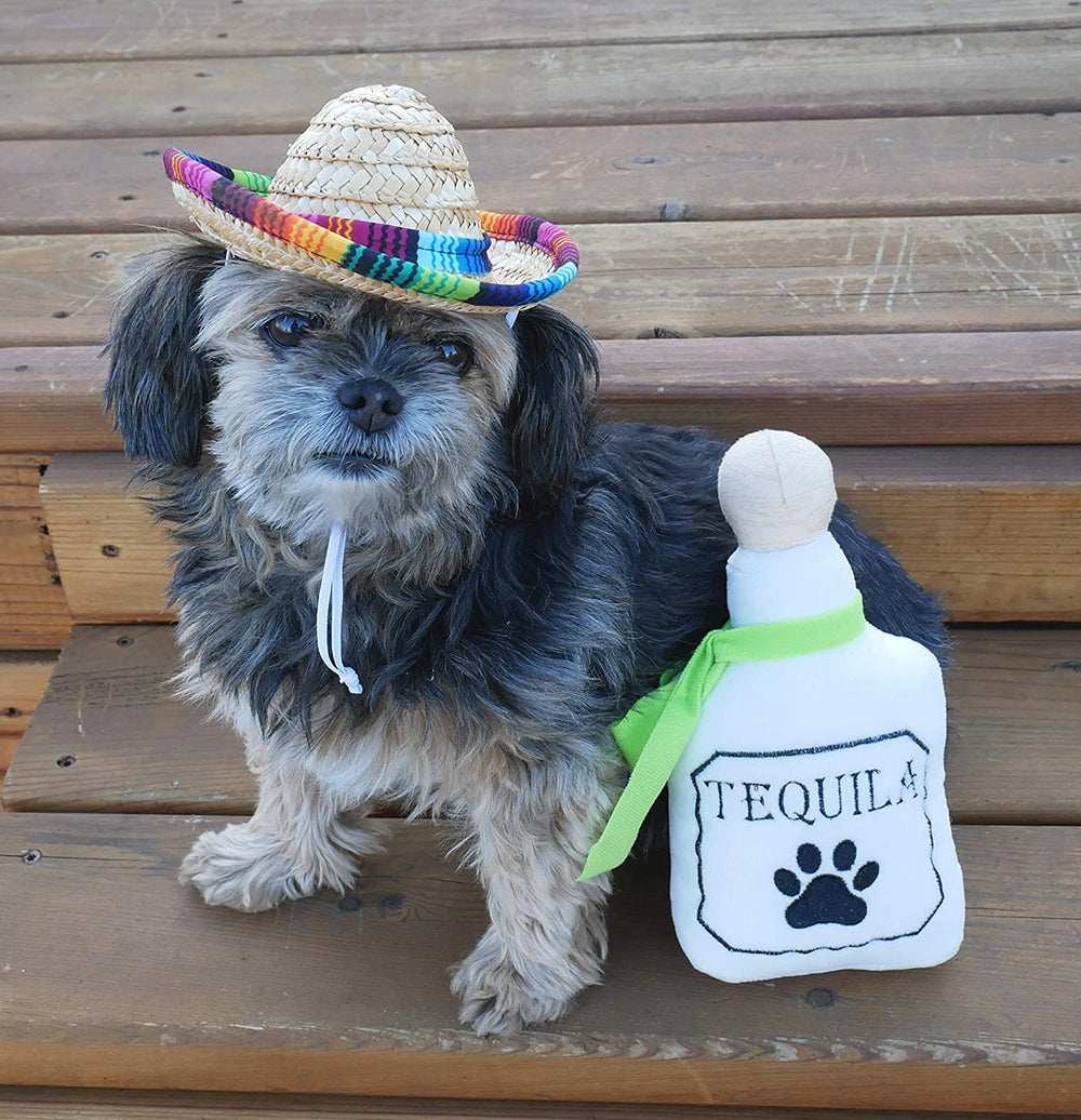 Baja Ponchos ensemble de quatre peluches : pack complet pour le divertissement canin