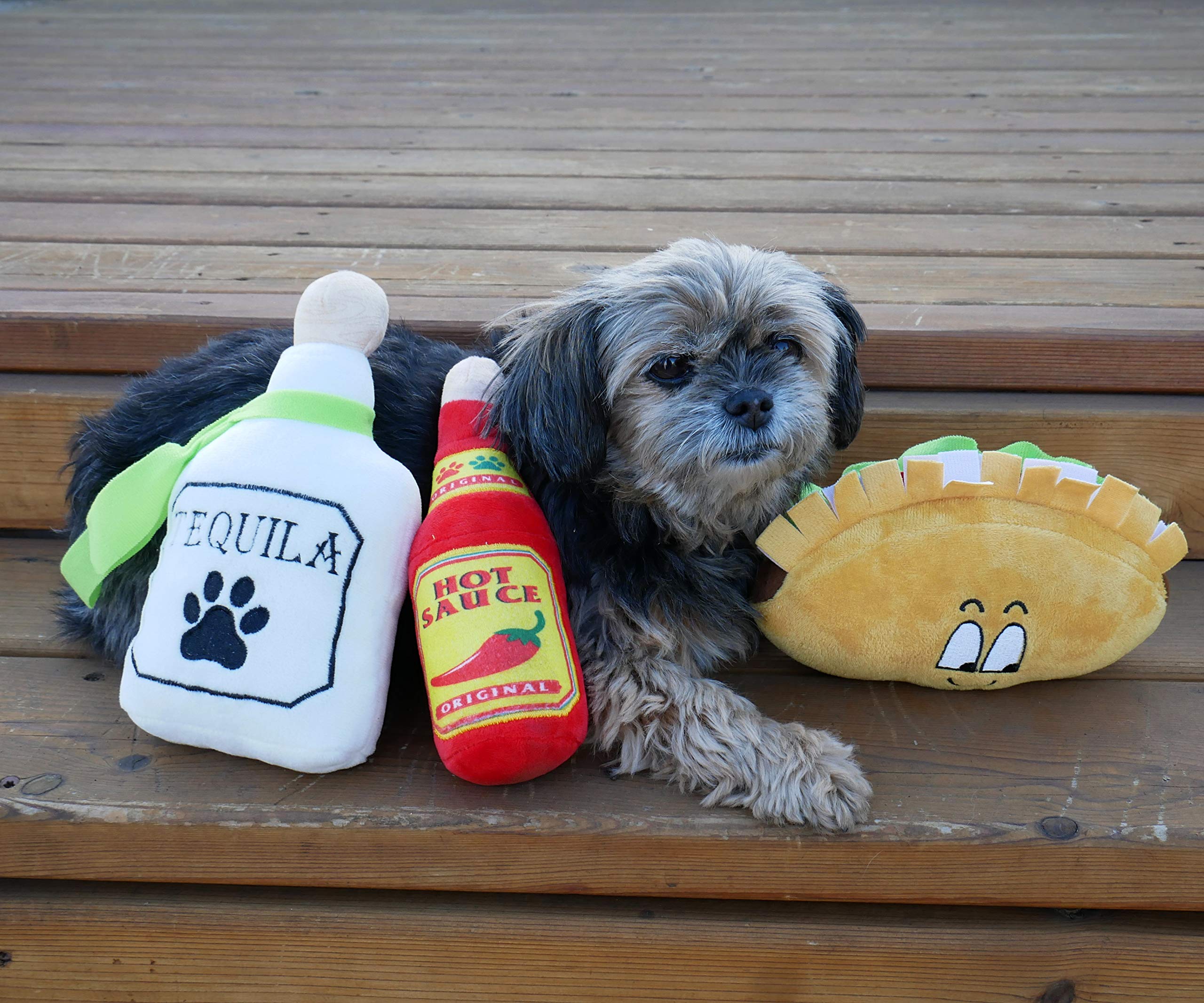Baja Ponchos sombrero peluche : cadeau ludique et photo amusante pour chien