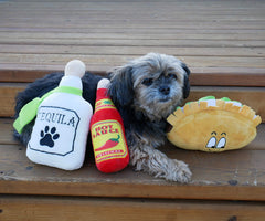 Baja Ponchos sombrero peluche : cadeau ludique et photo amusante pour chien