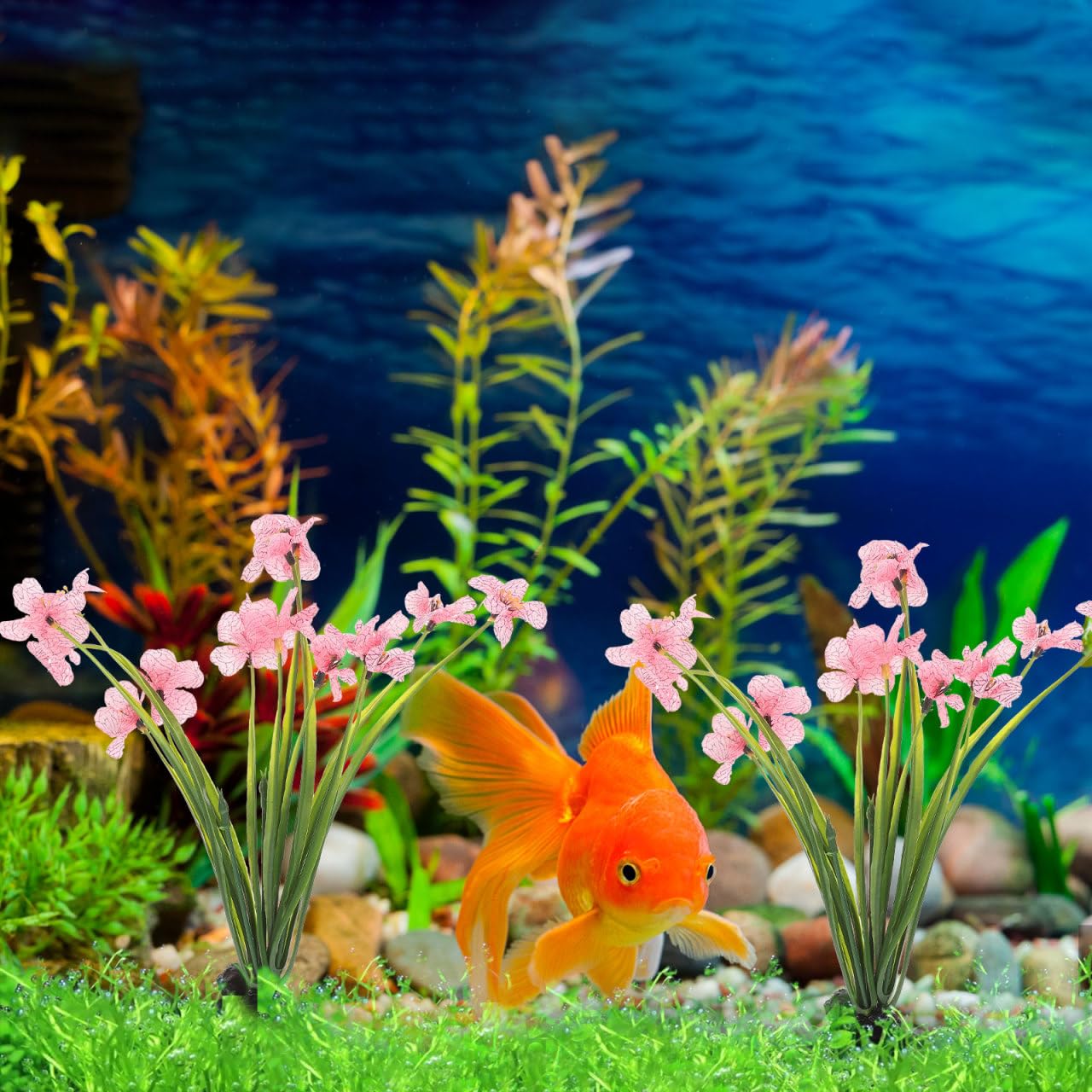Balacoo plante d’aquarium rose réaliste, simple à installer et à entretenir.