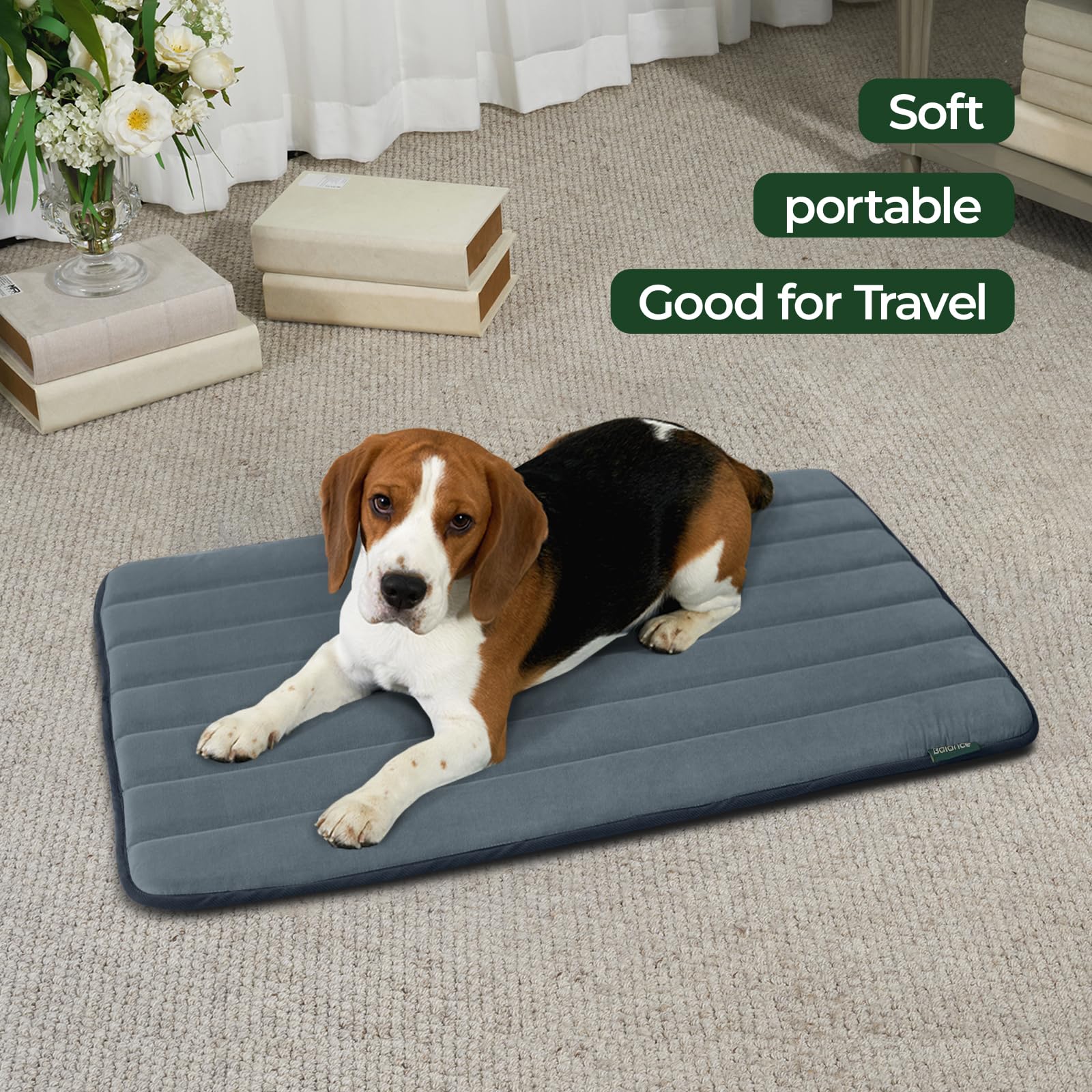 BALANCE base-antiderapante maintient le coussin en place pendant l'activité.
