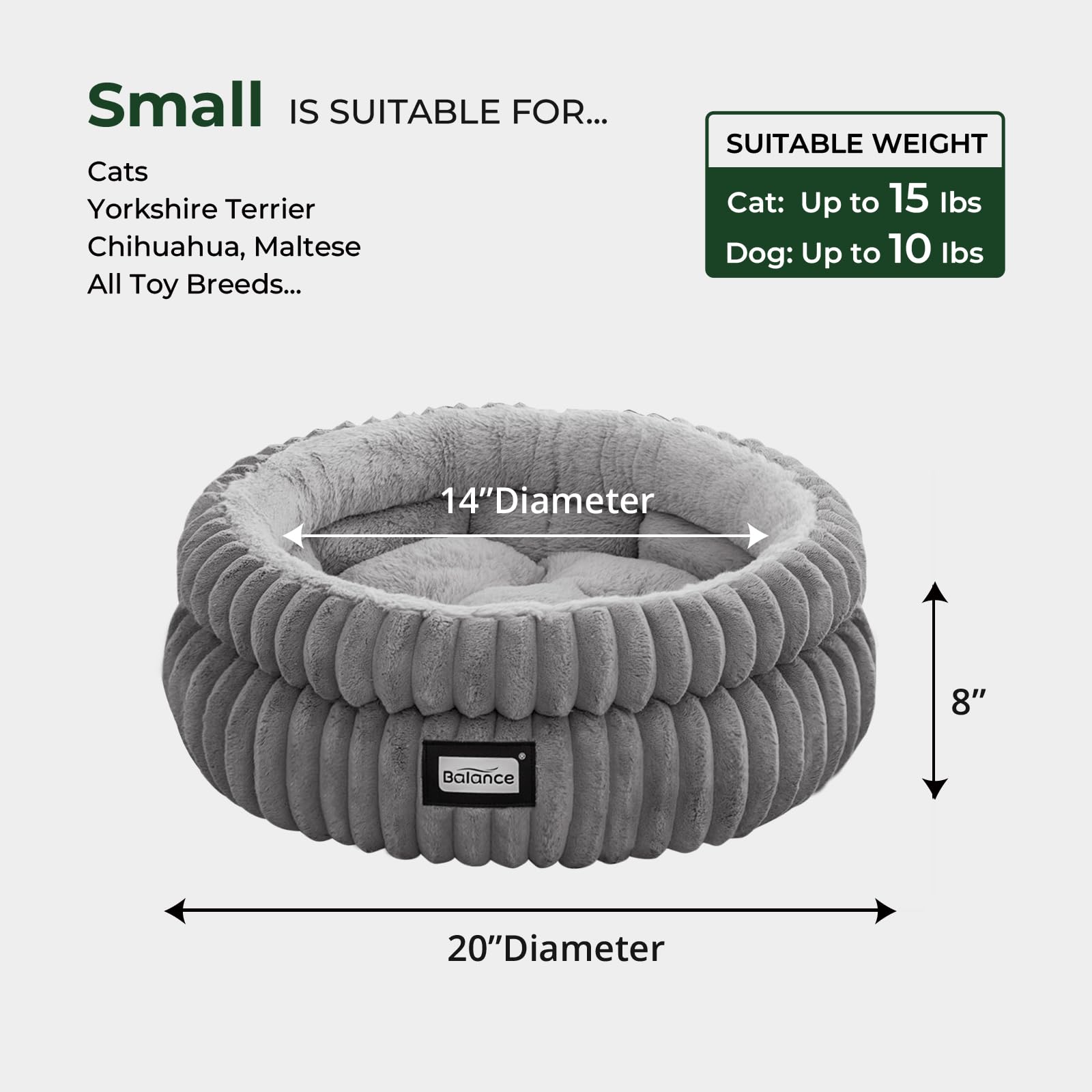 BALANCE lit-nid rond chat dormant dans son nid.