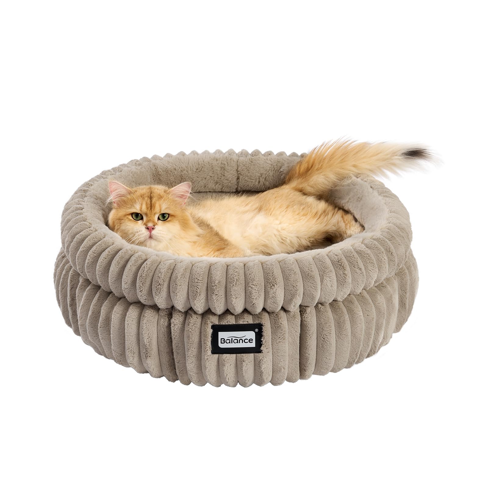 BALANCE lit rond pour chaton, peluche douce et réconfortante.