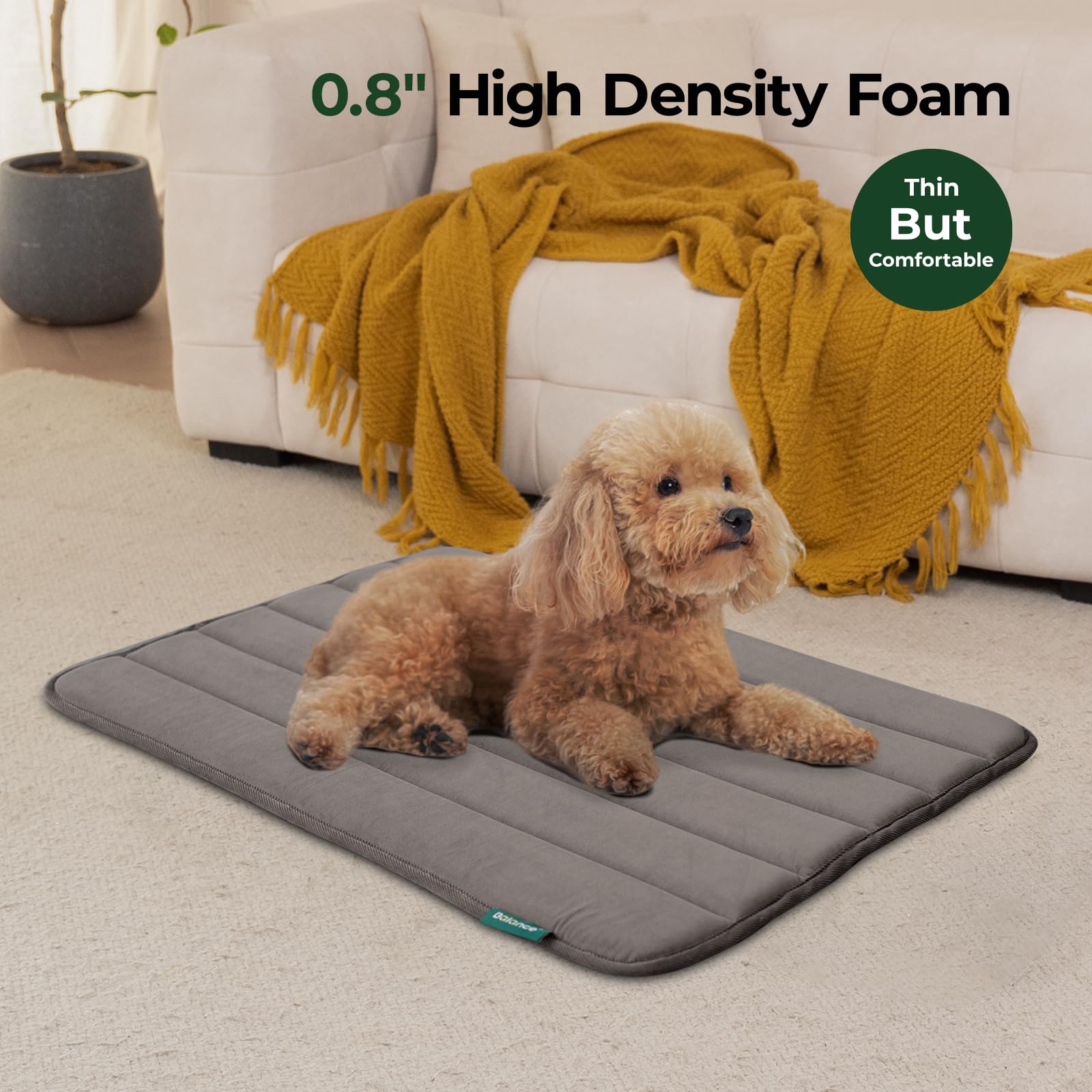 BALANCE coussin-cage-chien-impermeable-dessus: protège le rembourrage contre les liquides.