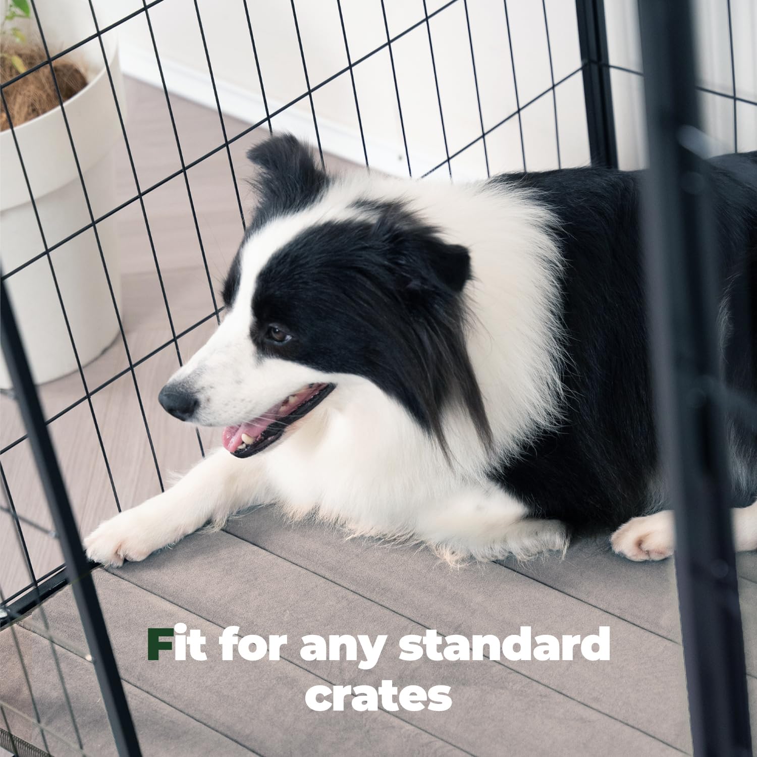 BALANCE coussin-cage-chien-lavable-en-machine: entretien facile et durable.