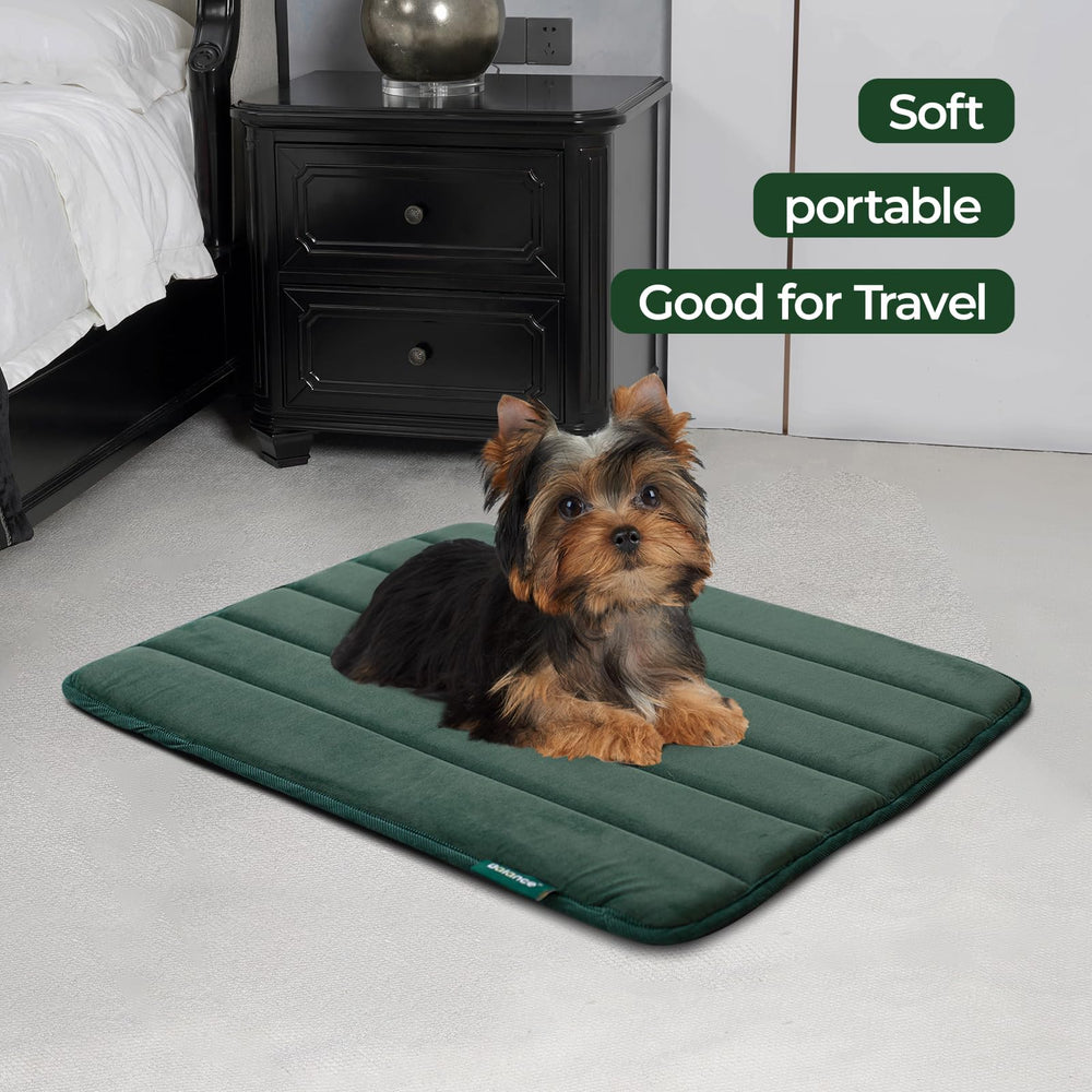 BALANCE Tapis cage anti-glisse – base stable pour la sécurité du chien.
