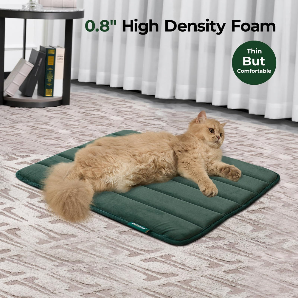 BALANCE Tapis cage – surface résistant à l'eau pour limiter les liquides.