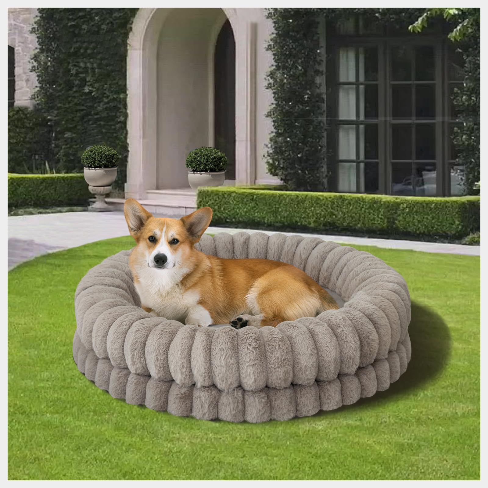 Lit beignet BALANCE rond, parfait pour petits chiens et chats.