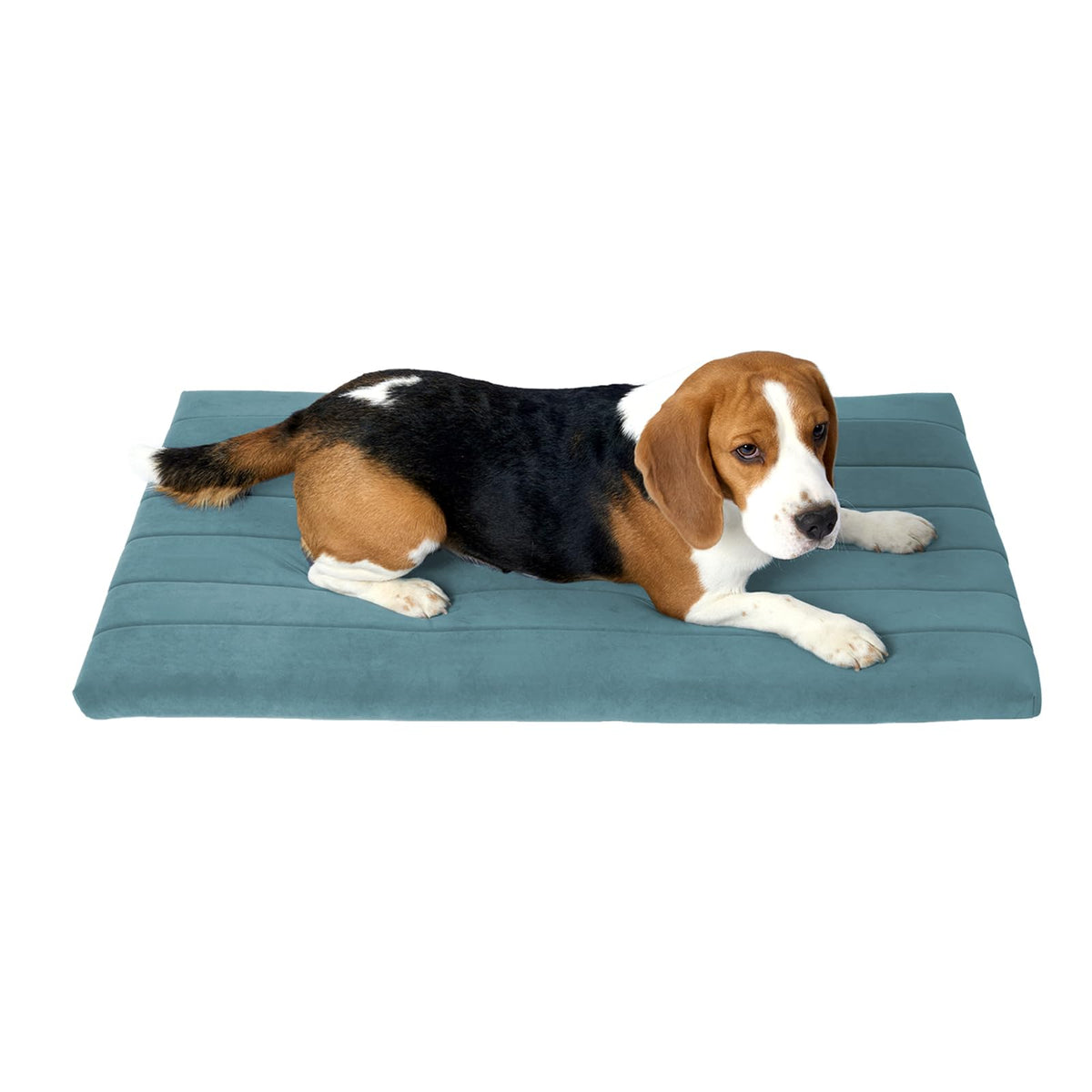 BALANCE lit-chien-caisson-orthopedique offre soutien articulations et confort