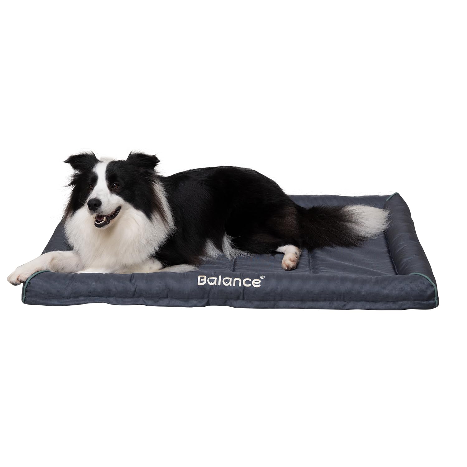 BALANCE Oxford lit chien grand-format imperméable, repos confortable