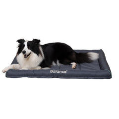 BALANCE Oxford lit chien grand-format imperméable, repos confortable